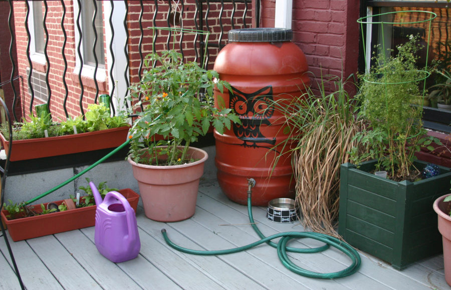 Garden Tool Store -Garden Tool Store 2