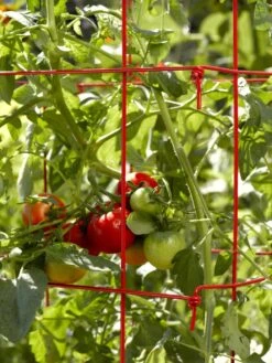 Tomato Cages, Set Of 4 -Garden Tool Store 34182 592