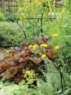 Essex Plant Supports -Garden Tool Store 37423 280 tif