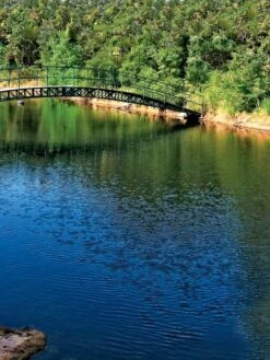 Aquasphere Pond Cleaners -Garden Tool Store 37425 001ed 1