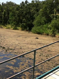 Blast, 2,500 Gallon, 5 Packets -Garden Tool Store 37425 001v 1 1