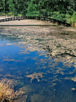 Aquasphere Pond Cleaners -Garden Tool Store 37425 002ed 1