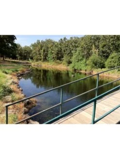 Blast, 125,000 Gallon, 12 Packets -Garden Tool Store 37425 002v 1