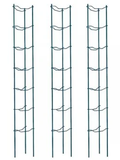 Tomato Ladders, Set Of 3 -Garden Tool Store 38184 002E psd
