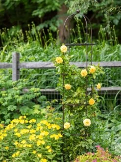 Jardin Round Obelisk, 7' -Garden Tool Store 39 530 1668 tif