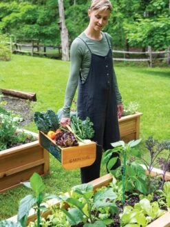 Garden Hods 11 Garden Hods -Garden Tool Store 39 761 0146 tif