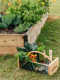 Garden Hods 10 Garden Hods -Garden Tool Store 39 761 572 tif