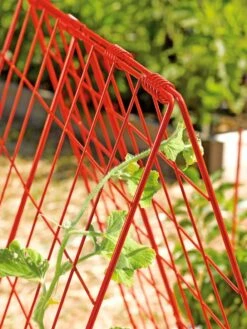 Deluxe Cucumber Trellis -Garden Tool Store 39806 542 tif