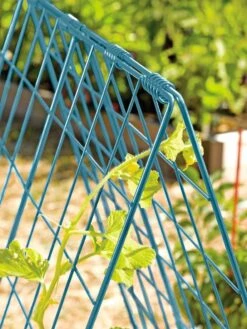 Deluxe Cucumber Trellis -Garden Tool Store 39806 BLUE 100 tif