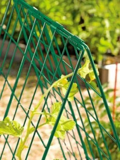 Deluxe Cucumber Trellis -Garden Tool Store 39806 GR edit tif