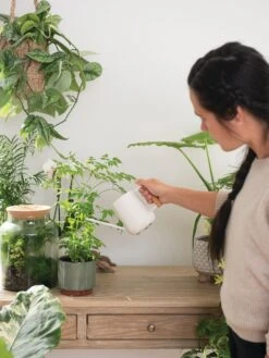 Pinpoint Indoor Watering Can 15 Pinpoint Indoor Watering Can -Garden Tool Store 3 4 crop 8612963 3774