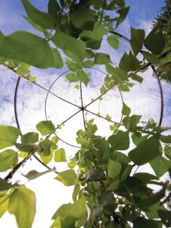 Jardin Tower -Garden Tool Store 3 4 crop 8612997 0033