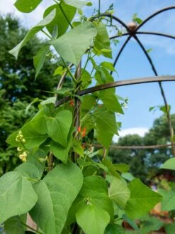 Jardin Tower -Garden Tool Store 3 4 crop 8612997 0058