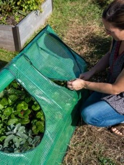 Multi Cloche -Garden Tool Store 3 4 crop 8613213 0245