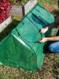 Multi Cloche -Garden Tool Store 3 4 crop 8613213 0250