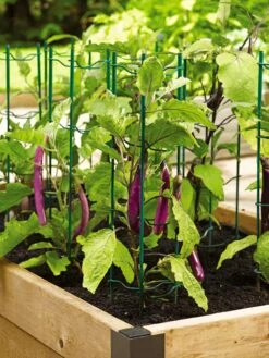 Pepper And Eggplant Stakes, Set Of 3 6 Pepper And Eggplant Stakes, Set Of 3 -Garden Tool Store 40308 2116 tif