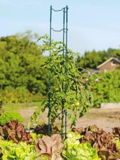Stacking Tomato Ladders, Set Of 6 -Garden Tool Store 40309 100 tif