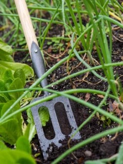 Gardener's Lifetime Spork -Garden Tool Store 8586973 2383 tif