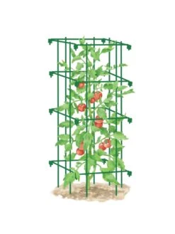 Tomato Cage, Single -Garden Tool Store 8587039 TomatoCage GRN tif
