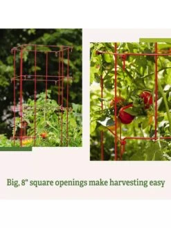 Tomato Cages, Set Of 4 -Garden Tool Store 8587040 2