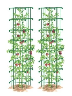 Tomato Towers, Set Of 2 -Garden Tool Store 8587041 0006 GRN tif