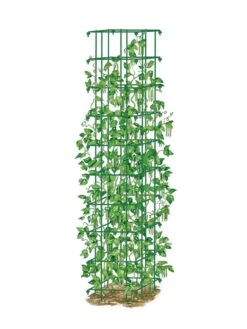 Bean Tower -Garden Tool Store 8587060 0008 GRN tif