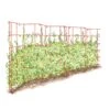 Expandable Pea Trellis -Garden Tool Store 8587061 PeaFence Red 001E tif