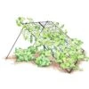 Large Cucumber Trellis 1 Large Cucumber Trellis -Garden Tool Store 8587082 CukeTrellis L Blk 001E tif
