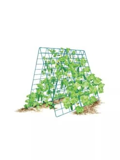 Deluxe Cucumber Trellis -Garden Tool Store 8587083 001 BLUE Cukes two sided deluxe cucumber trellis support storm blue 3 4