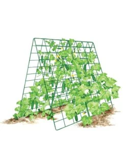 Deluxe Cucumber Trellis -Garden Tool Store 8587083 001 GRN tif