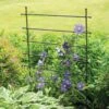 Jardin Ladder Trellis -Garden Tool Store 8587107 1651 tif