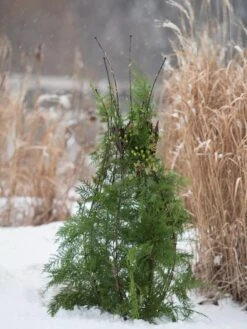 Jardin Pot Trellis 11 Jardin Pot Trellis -Garden Tool Store 8587120 009 tif