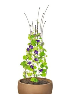 Jardin Pot Trellis 13 Jardin Pot Trellis -Garden Tool Store 8587120 1006 tif