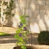 Jardin Pot Trellis -Garden Tool Store 8587120 224 tif
