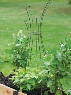Jardin Pot Trellis 10 Jardin Pot Trellis -Garden Tool Store 8587120 7037 tif
