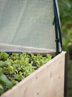 Protection Frame & Covers, 2' X 8' 19 Protection Frame & Covers, 2' X 8' -Garden Tool Store 8587631 265 tif