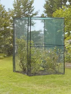 Crop Cage, 4' X 4' -Garden Tool Store 8587832 149 tif