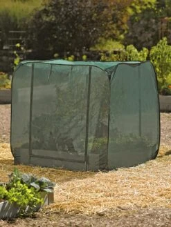 Pest Control Pop-Ups -Garden Tool Store 8587859 026 tif