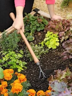 Gardener's Lifetime Raised Bed Cultivator -Garden Tool Store 8587960 0687 tif