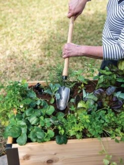 Gardener's Lifetime Raised Bed Trowel -Garden Tool Store 8588014 4084 tif