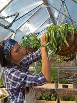 Canopia® By Palram Balance Greenhouse, 8' X 12' -Garden Tool Store 8588023 07V jpg