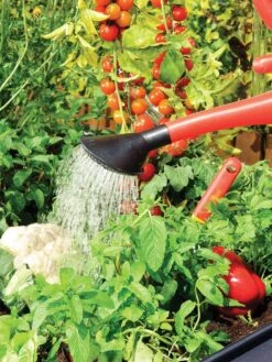 Canopia® By Palram Plant Inn™ Raised Bed Greenhouse, 4' X 4' -Garden Tool Store 8588308 06V tif