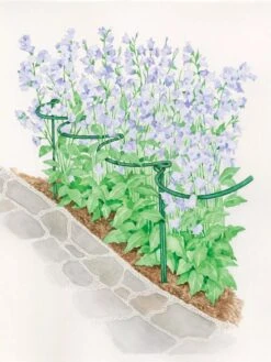 Tidy Path Supports -Garden Tool Store 8588403 003 1