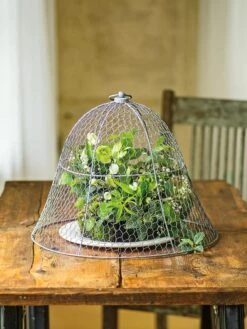Chicken Wire Cloche 19 Chicken Wire Cloche -Garden Tool Store 8590210 1 tif