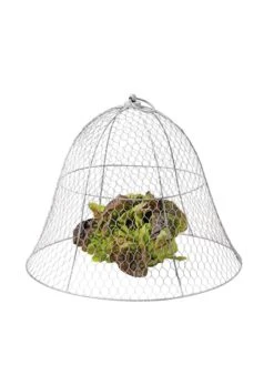 Chicken Wire Cloche 20 Chicken Wire Cloche -Garden Tool Store 8590210 675 tif