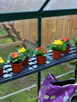 Canopia® By Palram Shelf Kit For Greenhouses, Set Of 2 Shelves -Garden Tool Store 8591033 09V jpg