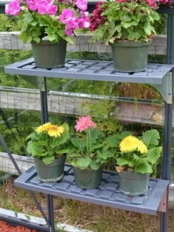 Canopia® By Palram Shelf Kit For Greenhouses, Set Of 2 Shelves -Garden Tool Store 8591033 11V jpg