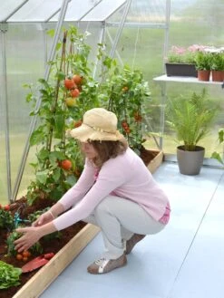 Canopia® By Palram Essence™ Greenhouse, 8' X 12' -Garden Tool Store 8591356 04V tif