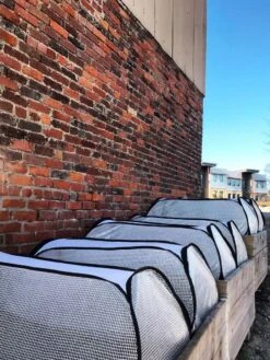 Row Shelter Accelerator -Garden Tool Store 8591990 01IN tif