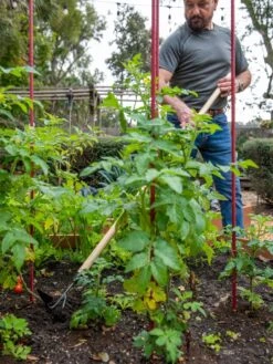 Gardener's Lifetime Long-Handled Double Tool -Garden Tool Store 8592107 2481 tif